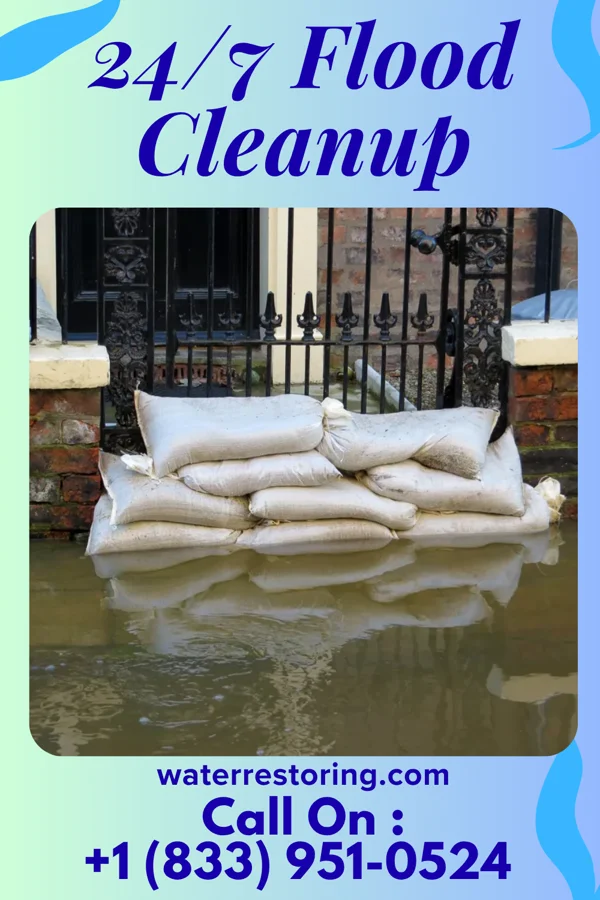 24/7 Flood Cleanup in Haena, HI