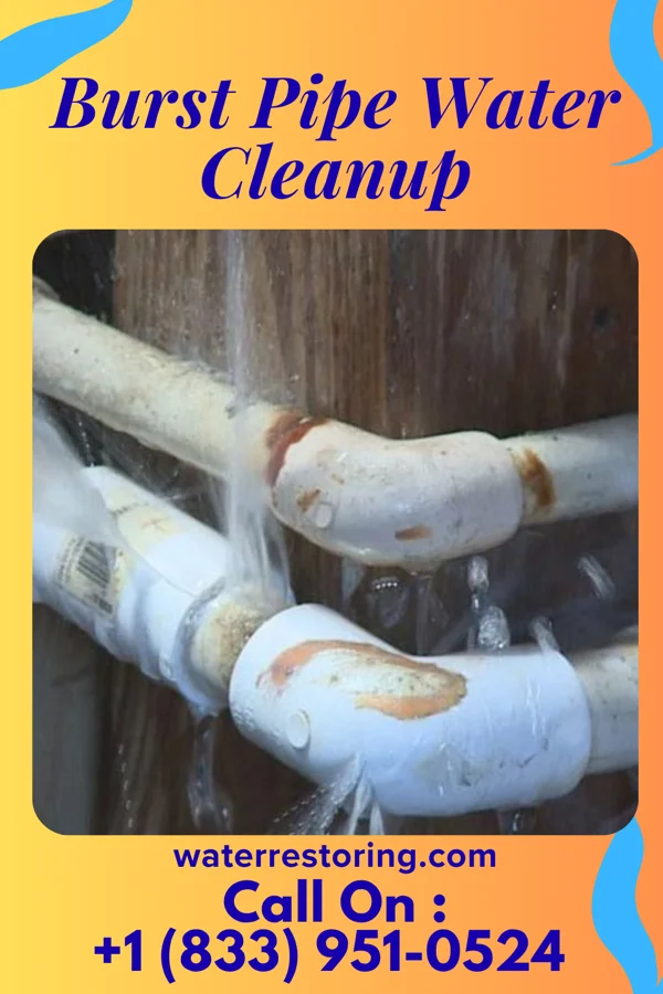 Burst Pipe Water Cleanup in Haena, HI