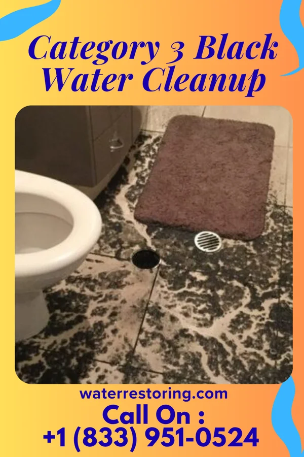 Category 3 Black Water Cleanup in Haena, HI