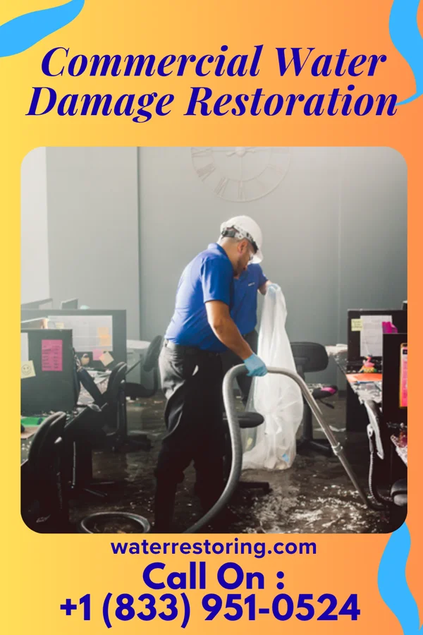 Commercial Water Damage Restoration in Haena, HI