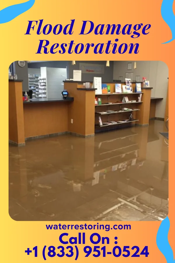 Flood Damage Restoration in Haena, HI