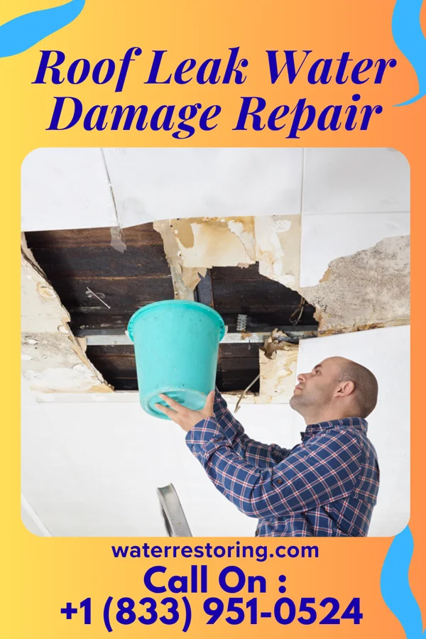Roof Leak Water Damage Repair in Haena, HI
