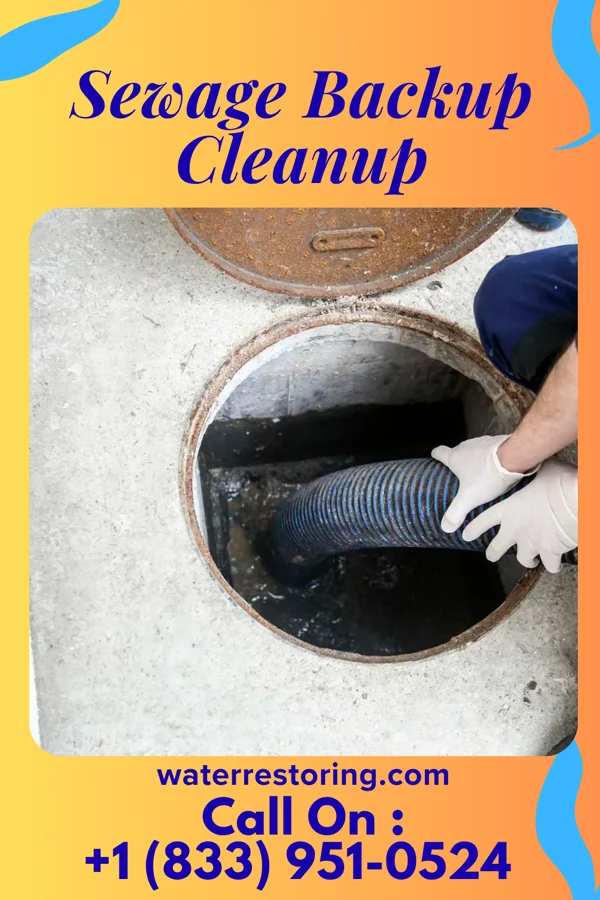 Sewage Backup Cleanup in Haena, HI