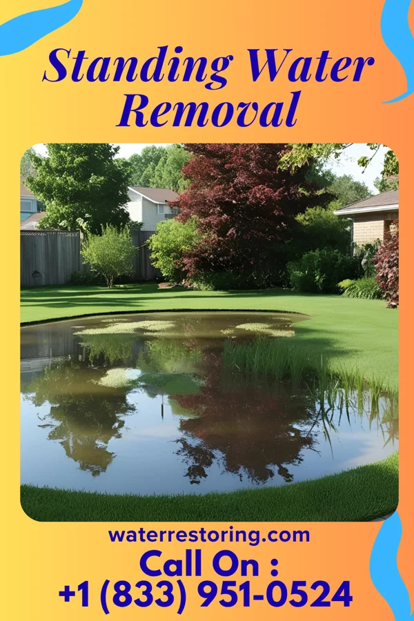Standing Water Removal in Haena, HI